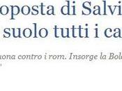 Salvini: ‘radere suolo campi Rom’, sondaggio