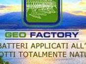 Geofactory