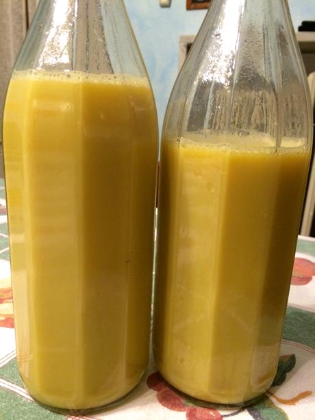 ricettevegan.org - crema di limoncello vegan