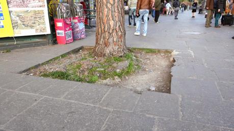 36 foto dall'area del Colosseo che dovrebbe ospitare i milioni di turisti in arrivo per il Giubileo. A dicembre mancano meno di 8 mesi