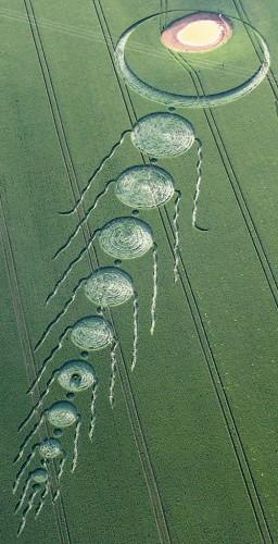 Cerchi nel Grano annata 2009