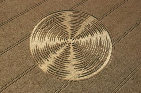 Cerchi nel Grano Annata 2005