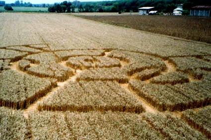 Cerchi nel Grano Annata 2004