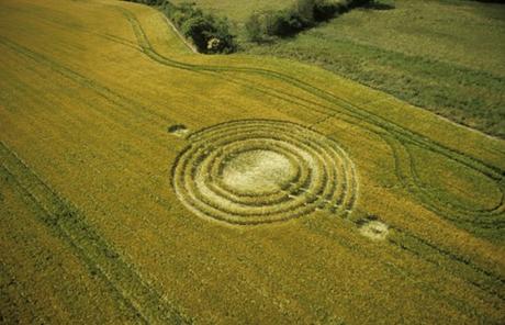 Cerchi nel Grano Annata 2003