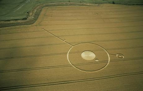 Cerchi nel Grano Annata 2003