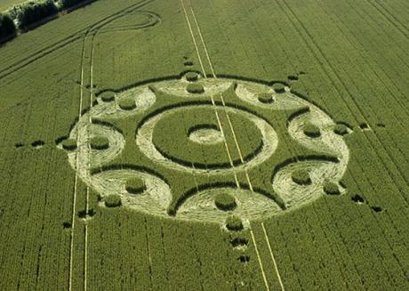 Cerchi nel Grano Annata 2001