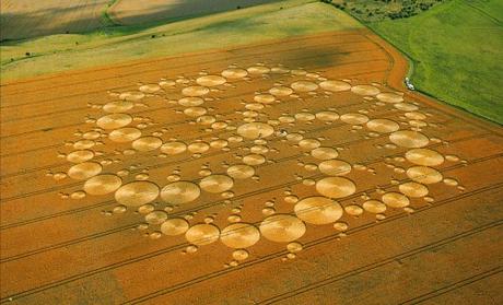 Cerchi nel Grano Annata 2001