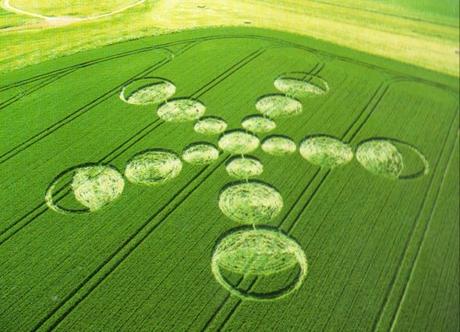 Cerchi nel Grano Annata 2001