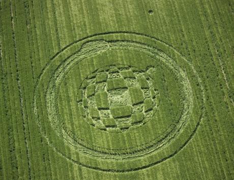 Cerchi nel Grano Annata 2001