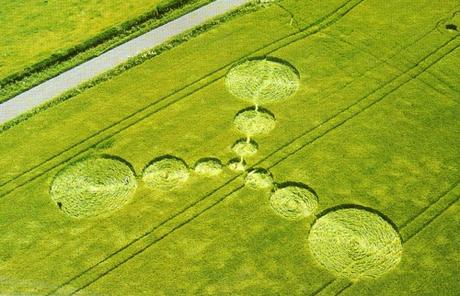 Cerchi nel Grano Annata 2000