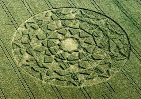 Cerchi nel Grano Annata 2000