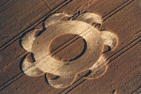 Cerchi nel Grano annata 1998