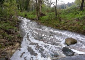 Torrente Attone