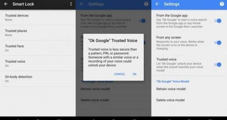 Google Trusted Voice
