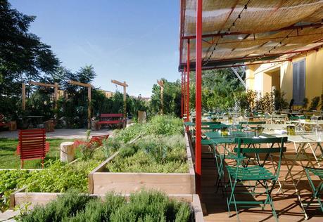 Twentyfive foodie places in Milan: dove mangiare durante la Milan Design Week 2015 Lunch Dinner in Milan || Erba BRUSCA