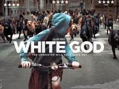 Cinema: recensione "White God"