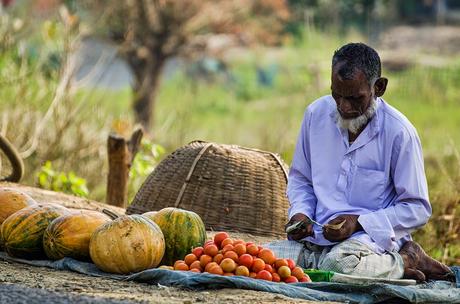 Assam : Arrivare a Kaziranga