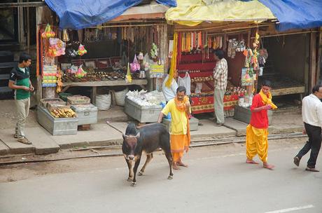 Assam : Arrivare a Kaziranga