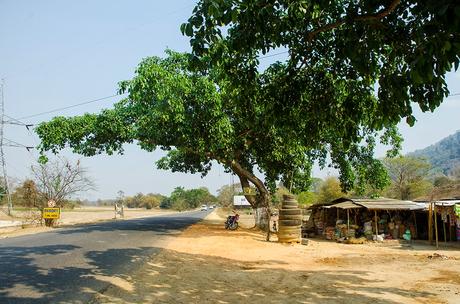 Assam : Arrivare a Kaziranga