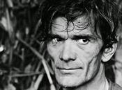 Pasolini, Alessandro Ceccarelli