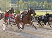 Trot Race. Corsa cavalli Lungomare Napoli