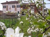 OFFERTE B&amp;B GIRASOLE (comunicazione servizio