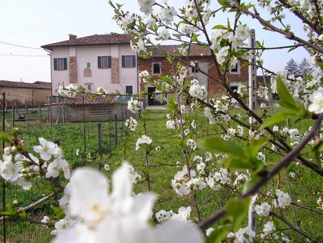 OFFERTE DEL B&B IL GIRASOLE (comunicazione di servizio )