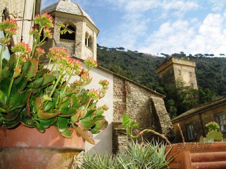 Liguria: un’escursione da Camogli a Santa Margherita Ligure