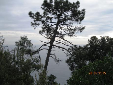 Liguria: un’escursione da Camogli a Santa Margherita Ligure