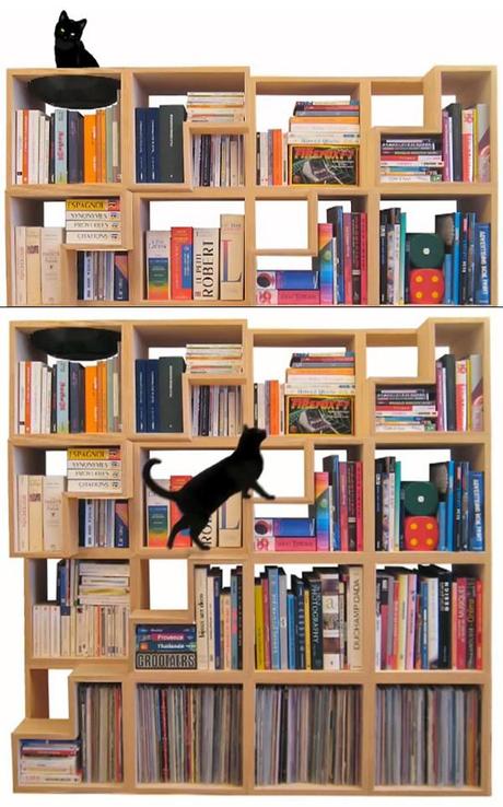 Libreria Cat Friendly