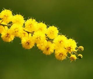 Buona festa della donna a tutte le nostre lettrici!!!