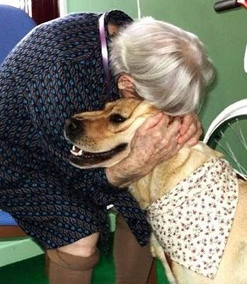 La compagnia dei cani aiuta gli anziani