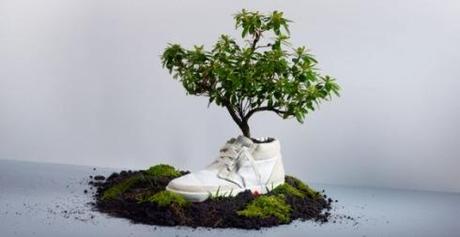 OAT shoes: quando la moda dà i suoi frutti, anzi fiori!