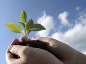 Creare blog successo Lezione