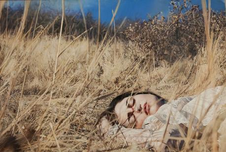 Gli incredibili pennelli di Yigal Ozeri