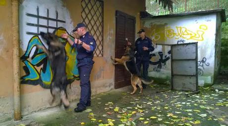 Aumenta a Firenze il consumo di cocaina