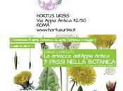 passi nella botanica…