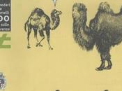 Dromedari, cammelli libri: disabilita' alla fiera libro l'infanzia