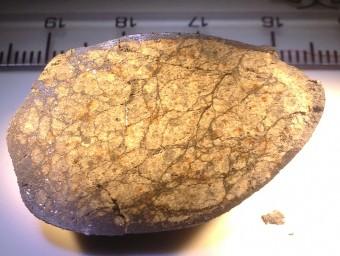 Un campione del meteorite precipitato nella regione di Chelyabinsk nel 2013. Le venature e le zone scure sono indizi di violenti impatti con altri corpi celesti avvenuti nei primordi del Sistema solare. Crediti: Qingzhu Yin, University of California, Davis