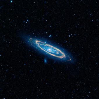 La galassia di Andromeda vista con gli occhi del telescopio spaziale NASA WISE. In colore arancione sono evidenziate le emissioni calde delle stelle che popolano le braccia a spirale della galassia. Immagini come questa sono servite al team di G-HAT per scansire il vicino universo in cerca di anomalie nell’emissione del medio infrarosso. Crediti: NASA / JPL-Caltech / WISE team.