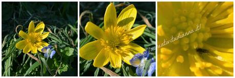 Lente 2 in 1 compatibile con fotocamere Canon e Nikon by Groupalia