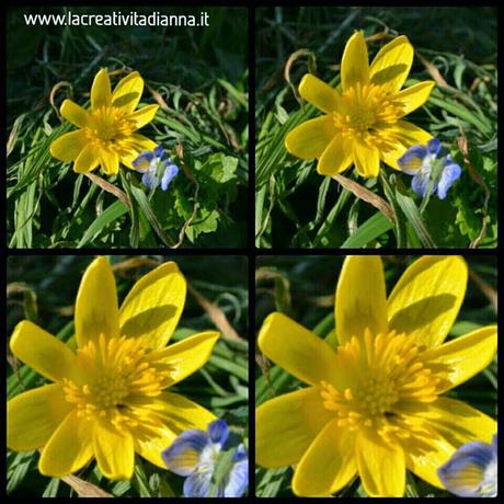 Lente 2 in 1 compatibile con fotocamere Canon e Nikon by Groupalia