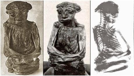 La piccola Mummia delle San Pedro Mountains e il suo mistero