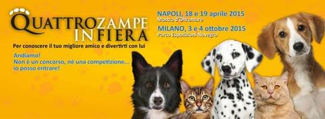 Quattro Zampe In Fiera: alla Mostra d’Oltremare con il tuo cane o gatto