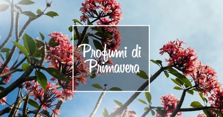 Profumi-di-Primavera_bnr