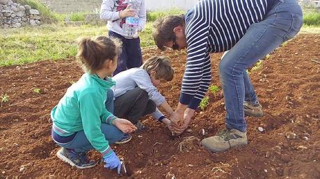 Fantastica esperienza soprattutto per i piccoli tornati a casa stanchi ma soddisfatti del lavoro svolto