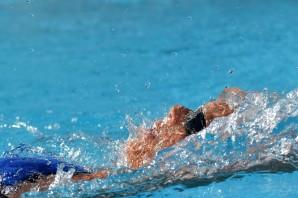 nuoto - Swimming Cup - foto Massimo Pinca