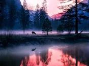 Luoghi dell'Introversione