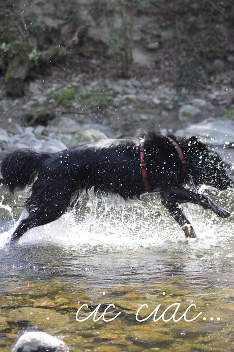 A spasso nei boschi