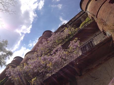 brera-orto-botanico-view